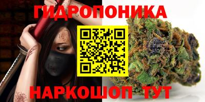 apvp Краснодар