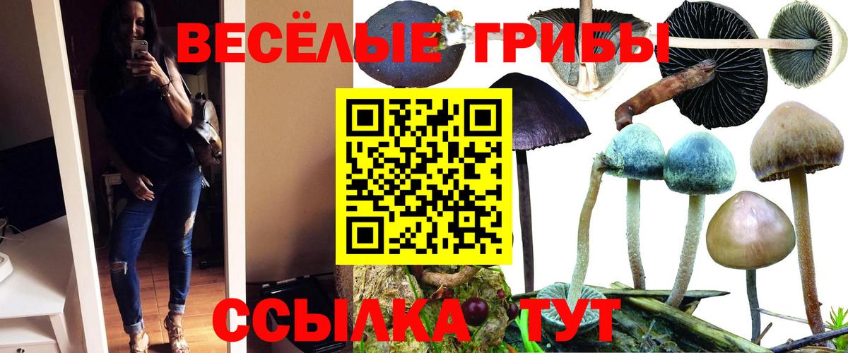 Галлюциногенные грибы Magic Shrooms Вольск
