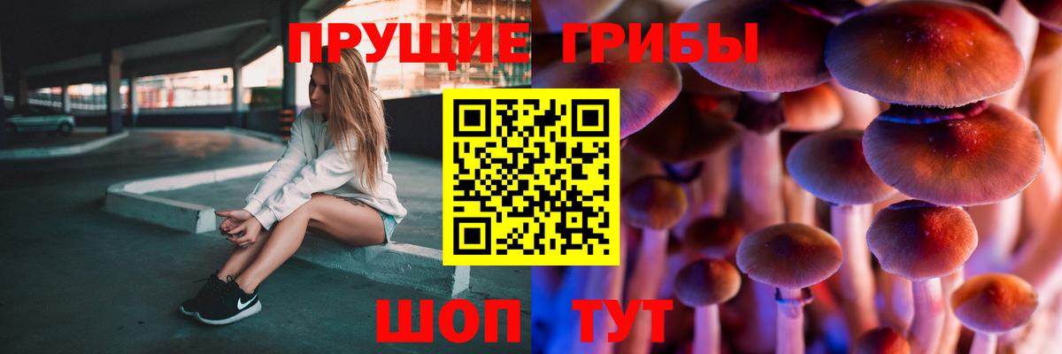 Галлюциногенные грибы Magic Shrooms  Вход с VPN  Вольск 
